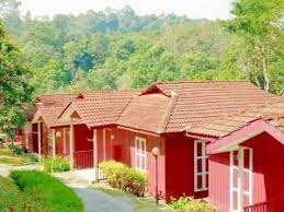 Showcasing an outdoor pool and views of the garden, serene resort & training centre is located in janda baik, in the region of pahang, just 25.7 km from kuala lumpur and 11.3km from genting highlands. Serene Resort Training Centre Janda Baik Entire House Bentong Deals Photos Reviews