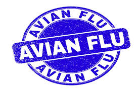 Registration on or use of this site constitutes acceptance of our terms of service. Daily Farm Disinfection To Control Avian Flu In South Korea Wattpoultry