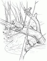 Coloring Rocks Frog Coloring Pages Animal Coloring Pages Abstract Coloring Pages