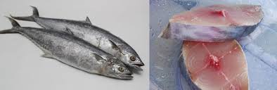 Apakah anda pernah mendengar nama ajian macan putih ? Panduan Mengenali Ikan Yang Selalu Dijual Di Pasar Bahagian 1 Iluminasi