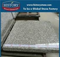 G664 Brainbrook Brown Granite Tile from China - StoneContact.com