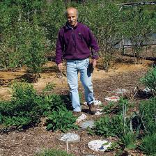 Check spelling or type a new query. Tilling Is One Chore You Might Be Able To Skip Finegardening