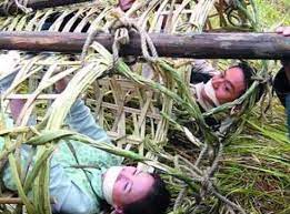   笑談人生 + 午夜私語