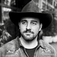 20+ "Stelly" profiles