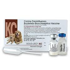 How much are dog vaccinations? Buy Dog Vaccines Online Puppy Vaccinations Allivet