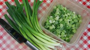 Jul 14, 2021 · freezing green onions is a viable option for preserving this pungent veggie. Freezing Green Onions Money Saving Tips No More Cash In The Trash Noreen S Kitchen Youtube