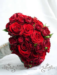 Check spelling or type a new query. Red Roses Bridal Bouquet Standard And Spray Roses In The Bouquet Bridal Bouquet Red Rose Bouquet Bridal Flowers