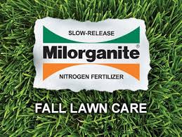 Dethatching, while necessary and beneficial to the lawn, often can leave it looking anything but lush. Benefits Of Dethatching And Aerating Your Lawn Milorganite