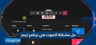 حل مشكلة الصوت في تيمز عدم سماع صوت المعلم في تيمز موقع محتويات