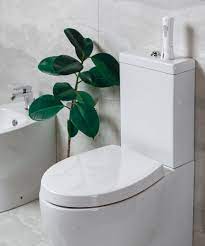 Rawash Bidet Sprayer By Aynola Bidet Bathroom Accessories Amazing Bathrooms