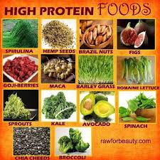 Pin By Fran Gifford On 1 High Protein Low Carb Low Sugar Foods High Protein Vegan High Protein Vegan Recipes High Protein Vegetarian Recipes