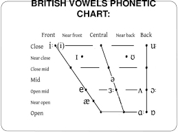 1 The Basis Of Phonetics Phonology