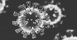 Ketua pengarah kesihatan, tan sri dr. Mutated Covid 19 Variant Detected In Malaysia Says Health Dg The Star