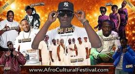 Afro Cultural Festival 206