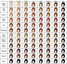 Here S Everything You Need To Know About Going Platinum Hair Dye Color Chart Hair Chart Henna Hair Color