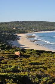 Smiths Beach Yallingup Australia Australia Travel Australia Beach Western Australia
