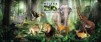 240 places, 5 pages page: Zoo Melaka Day Zoo Night Safari Ticket Kkday