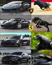 Write Your Opinion In Visit Inst4gram For More Super Cars Cool Cars Amazing Cars