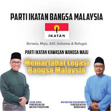 Malaysia national alliance party) adalah salah sebuah parti politik di malaysia yang ditubuhkan pada tahun 2012 oleh tan sri abdul kadir sheikh fadzir. Dengan Parti Ikatan Bangsa Malaysia Ikatan Wangsa Maju Facebook