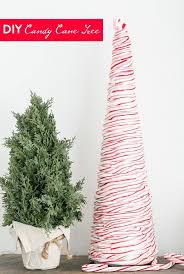 Candy canes are one of the essential items for christmas and they are often adored by children. 11 Candy Canes Recipes Diy And Crafts Eatwell101
