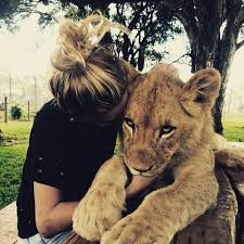 Pin On Cats My Sweet Bubu