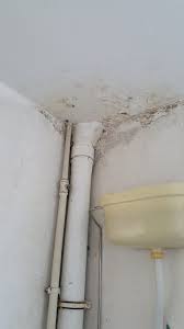 Ein wasserschaden hat erhebliche folgen. An Die Heimwerker Wohnung Mit Wasserschaden Im Bad Decke Kaufen Plauderecke Pick Up Forum The Pickup Artist Community