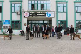 T C Ticaret Bakanligi