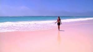 I need to go to a pink sand beach 😍