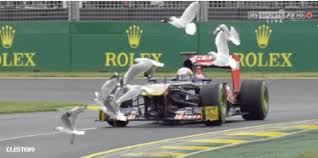 Find funny gifs, cute gifs, reaction gifs and more. Animated F1 Car Page 1 Line 17qq Com