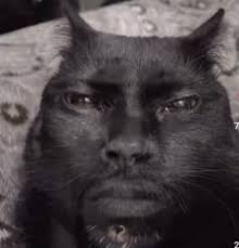 The Great Mage Returns After 4000 Years Chapter 197