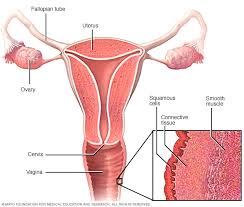 Cancer man may be a caretaker for his loved one, but taking care of someone making him feel like he's unable to please her is really not worth his investment. Vaginal Cancer Symptoms And Causes Mayo Clinic