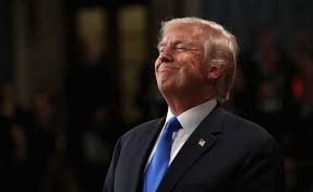 We did not find results for: These Donald Trump Quotes Might Explain Why Someone Destroyed His Hollywood Star Marie Claire
