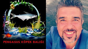 Pengasus Kopek Baligi Akvaryumu Nasil Olmali Challenger Kopek Baligi Ne Yer Uretimi Balik Turleri Youtube