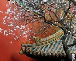 Hình ảnh về Vườn thượng uyển, Tử Cấm Thành