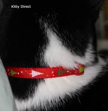 An elasticated cat collar is unsafe for 2 reasons. Beautiful Christmas Xmas Kitten Cat Safety Collars