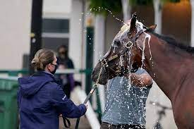 Who Will Win The Kentucky Derby Expert Picks And Predictions The New York Times