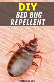Diy Bed Bug Repellent In 2020 Bed Bug Remedies Natural Bed Bug Repellent Bed Bugs
