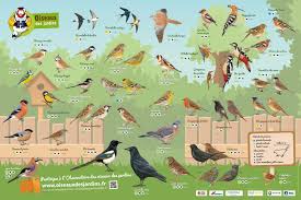 Epingle Sur Animaux Du Jardin