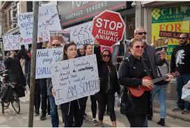 Lea Holmes (@Lea_Holmes)