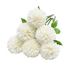 As mentioned earlier, hydrangea flowers are available in several colors, including shades, purple, pink, blue and white. Tifuly Artificial Hydrangea Flowers 6 Pcs Silk Chrysanthemum Small Ball Flowers For Home Garden Party Office Decoration Bridal Wedding Bouquets Floral Arrangement Centerpieces White Buy Online In Bahamas At Bahamas Desertcart Com Productid