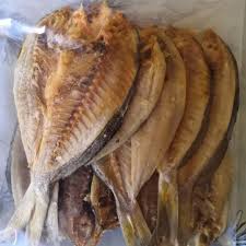 Jenis dari ikan koi ternyata memang beragam, jadi bukan hanya satu saja. Sulig Fish Masin Fish Characteristics Sabah Shopee Singapore