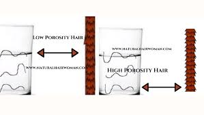 The loc method of moisturizing natural hair. Low Porosity Hair And High Porosity Hair Natural Hair Woman