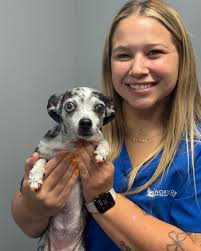Twinkies- Paige and Paris a getting in the fall spirit.  #fallfashion#osuhomecoming#nsvhok#teamnsvh