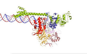 We did not find results for: Warum Remdesivir Das Coronavirus Nicht Vollstandig Ausschaltet Max Planck Gesellschaft