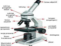 Maybe you would like to learn more about one of these? 25 Soal Dan Jawaban Pilihan Ganda Ipa Terpadu Kelas Vii Mikroskop