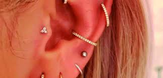 Image result for Tragus