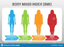 Bmi Body Mass Index Vector Illustration With Woman