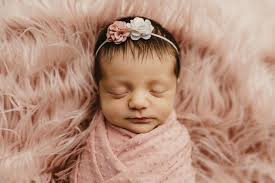 Sara Demick Photography (@sarademickphotography) • Instagram photos and  videos