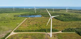 Thomas Timmins interview with CBC Metro Morning