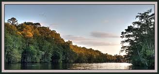 Elva Thomas Obituary (2019)